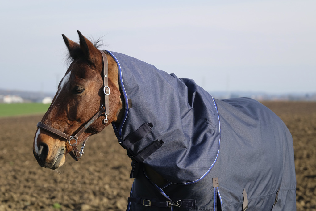 EQUITHÉME CLASSIC HALS 600 D - 150 GRAM - COB