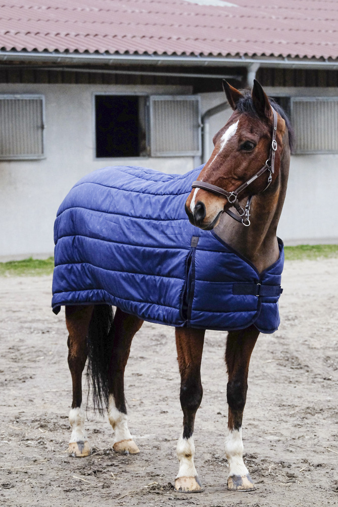 EQUITHÉME CLASSIC LINER - 300 GRAM - 150