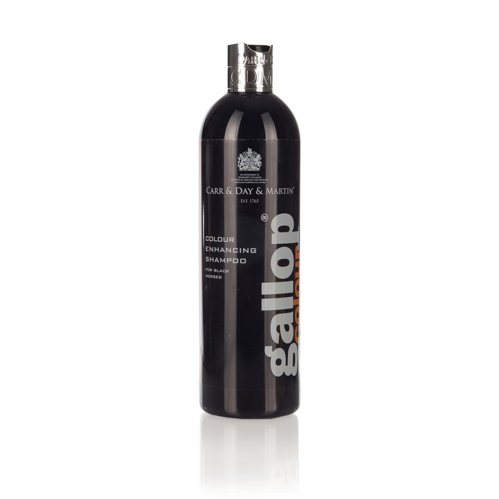 GALLOP COLOUR SHAMPOO - BLACK