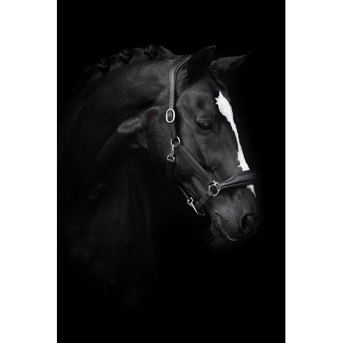 Källquist Lippo Basic Grooming lædergrime - Cob