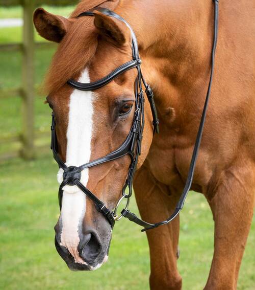 Premier Equine Gloriso Grackle trense - Sort, XFull
