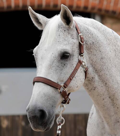 Premier Equine nylongrime med foer - Brun, Full