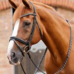 Premier Equine trense - Bellissima
