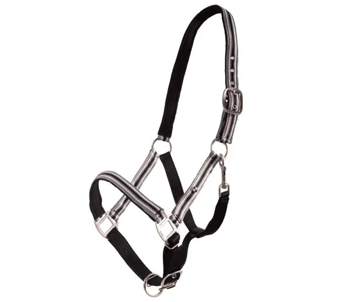 QHP GRIME FLORE - Pony