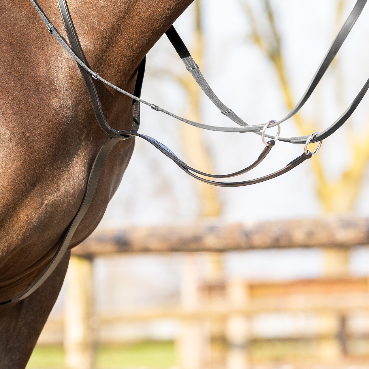 QHP MARTINGAL BASIC - FULL