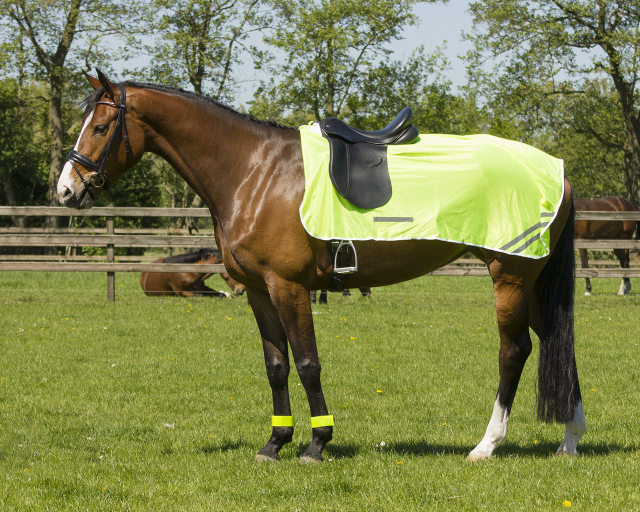 QHP REFLEKS RIDEDÆKKEN - S