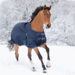 WH OVERGANGSDÆKKEN ECONOMIC - 100 G. - 125