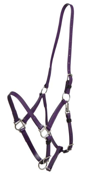 Zilco Deluxe Endurance grime - Lilla, Araber