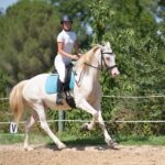 riding girl and horse