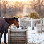 Scenic view two horses in cover rugs eat on snow winter cold paddock on farmyard against steaming
