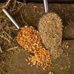 shovel spoons with horse food ingredients