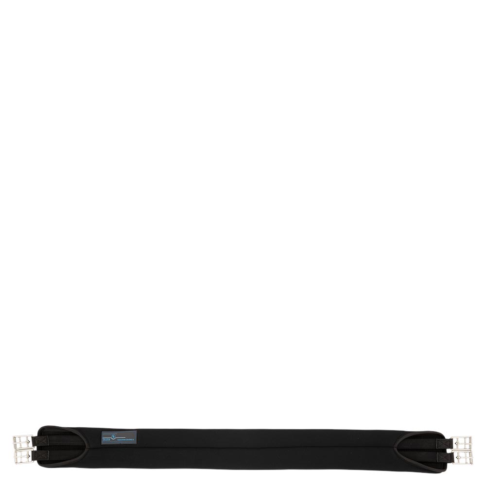 BR Evolution gjord - memoryskum - 100