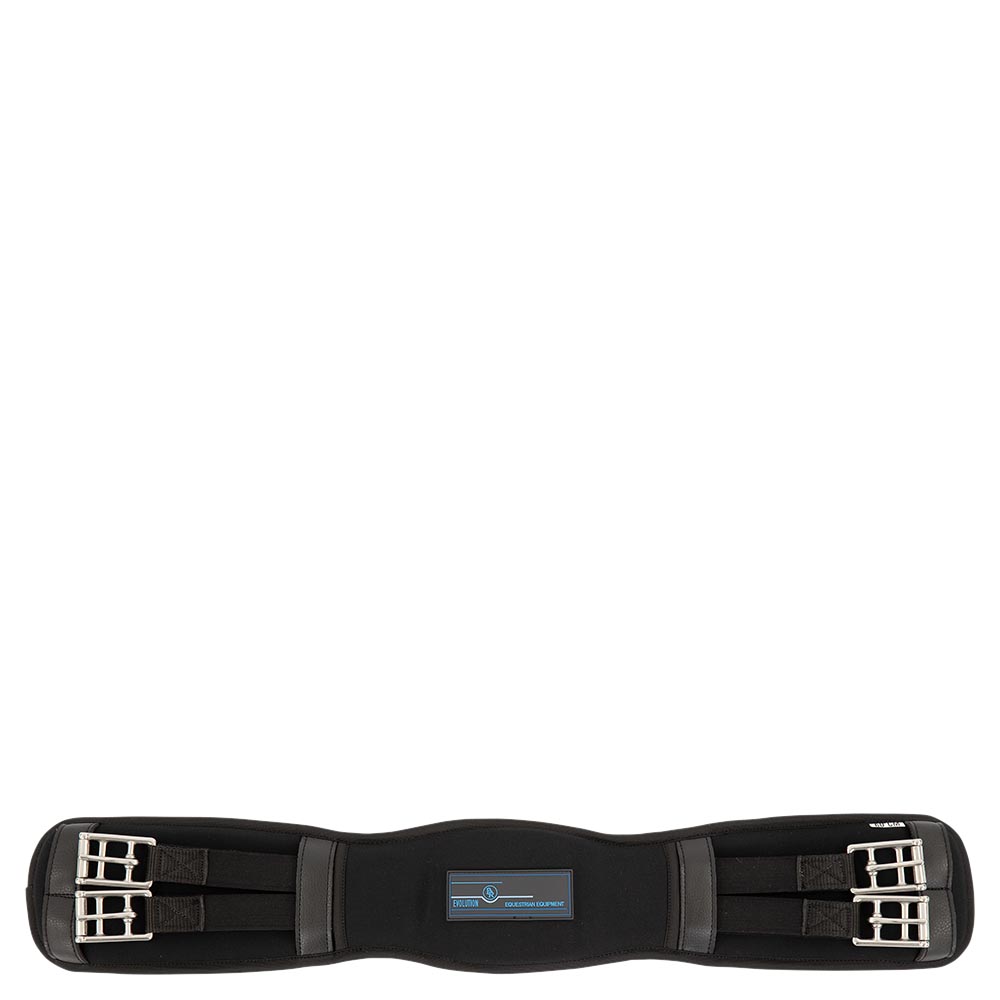 BR Evolution gjord - memoryskum dressur - 50