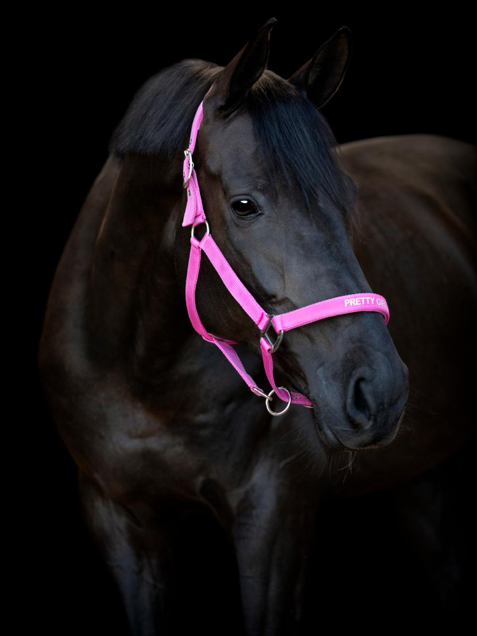 HorseGuard Malva grime - pink - Pony